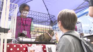 「命の大切さ知って」保護された犬と猫の譲渡会　　北九州市のイオンモール八幡東で開催