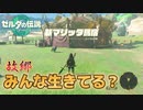 アンタも探しているのかい？ #8【ゼルダの伝説 ティアーズオブザキングダム】ティアキン