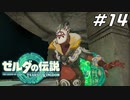 【ティアキン】再登場してもコーガ様はアホ可愛い ゼルダの伝説 ティアーズオブザキングダム Part14【ゲーム実況】