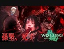 【WOLONG】義勇兵無双！孫権と孫策と猫＃12【ずんだもん実況プレイ】