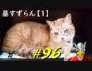 カーリアの城館裏手を探索したり探し求めていたあのアイテムをようやく手に入れたりします【初見】エルデンリング実況／盗賊王物語【オフライン】#96