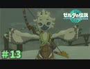 ずいぶん大きくなって（親心）　「ゼルダの伝説～ティアーズ・オブ・ザ・キングダム」　＃13