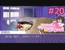 坂咲先輩；；；；【はーとふる彼氏 Hatoful Boyfriend】実況プレイ#20 BBLルート編