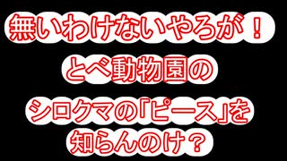 【ずんだもんの愛媛好きだもん・第４弾】・・・とべ動物園のシロクマの「ピース」を知らんのけ？