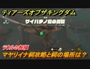 ゼルダの伝説ティアーズオブザキングダム　マヤリイナの祠攻略と祠の場所は？　ラウルの祝福　祝福の光集め　＃３３２　【ティアキン】