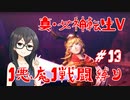 【真・女神転生V】1悪魔1戦闘縛り part13【花隈千冬実況】