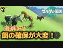 新しい家族を迎えよう #9【ゼルダの伝説 ティアーズオブザキングダム】ティアキン