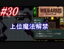 #30　外海と上位魔法の解禁【ワイルドアームズ】