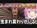 1日で別れてしまった『んなベロス』の生まれ変わりをペットにするルーナ姫【姫森ルーナ/ホロライブ切り抜き】