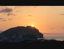 2023.05.29(24倍速)ニコ生TSDL