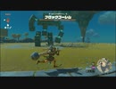 【ゼルダの伝説 ティアーズ オブ ザ キングダム】再びハイラルを救うまで【実況】 part6