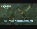 【ゼルダの伝説】エピソードチャレンジ : 真実を探れ!噂のゼルダ姫!!  Part 37【ティアーズ オブ ザ キングダム(ネタばれあり)】