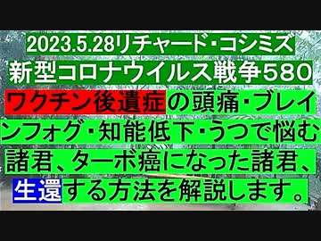 【2023年05月28日 ：「 リチャード・コシミズ Internet 講演 （ ニコニコ生放送『 LIVE 』）（ 改良版 ）」】