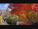 奈良　長岳寺