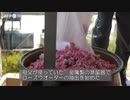 レバノンの「バラの村」、香り高い伝統絶やさず