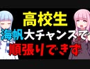 【デイトレ】高校生の資金力では順張りできないのかもしれない…【ベクター/海帆/株式投資/ボイスロイド解説】