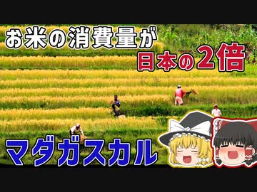 お米の消費量が日本の2倍？マダガスカルってどんな国？【ゆっくり解説】
