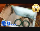 農電ケーブルがショートしてあわや火事【ヒーター付きの育苗箱を作る Part 2/4】