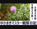 マスター観察日記 ５月２２日～５月２８日
