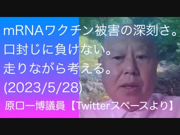 反DS覚醒議員•原口一博【Twitterスペースより】mRNAワクチン被害の深刻さ。口封じに負けない。走りながら考える。(2023/5/28)