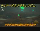 ゼルダの伝説ティアーズオブザキングダム　アネダミミカの祠の行き方は？　祝福の光集め　＃３３８　【ティアキン】