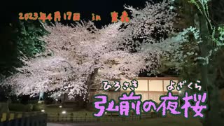 弘前の夜桜2023