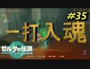 この一撃にすべてをかける【TEARS OF THE KINGDOM】＃35