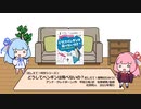 琴葉姉妹の児童書を読もう『どうしてペンギンは飛べないの？　おしえて！動物のひみつ』