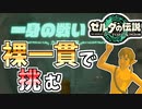 【ゼルダの伝説TOTK】公式が用意した装備アイテム無しの試練に挑む！【ティアキン】#19