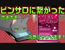 【ニャー】#45　シャチに電話すると思いきや【ノラと皇女と野良猫ハート】