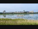 千葉県習志野市秋津を歩く 【初千葉県船橋市＆習志野市編part 7】【散歩227】