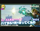 ▲再びハイラルの光になってくるわ#014【のんびり観光実況】