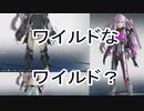 【PSO2NGS】ワイルド！【ソフトウェアトーク実況】