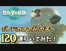 【ゼルダの伝説 ティアーズオブザキングダム】ジノドカオの祠ガチャ 120連引いてみた！【ゆっくり実況】