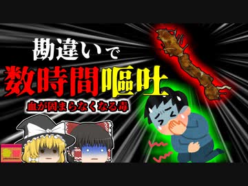 【2009年】「あ！庭に自然薯生えてる！食べてみよう」→"血が固まらなくなる毒草の根"だった 『カエデトコロ食中毒』【ゆっくり解説】