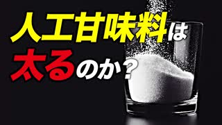 人工甘味料を摂ると太るのか？ | ボディビルチャンピオンが解説【ビーレジェンド プロテイン】【ビーレジェンド プロテイン】