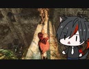 DS2_07;追い詰められた？ それでも俺はっ！！ DARK SOULS 2【天の声さん】