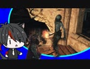 DS2_16;敵なのに護衛？ 隠れ港の松明ゾンビ【ダクソ2】