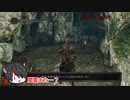 DS2_24;どんだけ出るねん 闇霊・闇霊・闇霊！！！【ダクソ2】