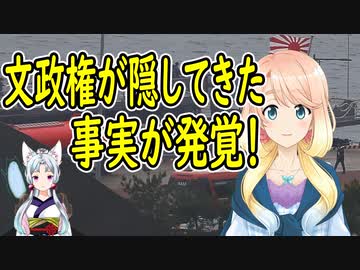 【韓国の反応】旭日旗を掲げた自衛隊艦艇が韓国に入港した事を批判した共に民主党、文政権時代にも入港していた事実が発覚し・・・【世界の〇〇にゅーす】