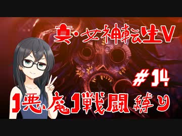 【真・女神転生V】1悪魔1戦闘縛り part14【花隈千冬実況】