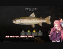 茜お姉ちゃんが川釣りのバイトをする話　2023：5月号