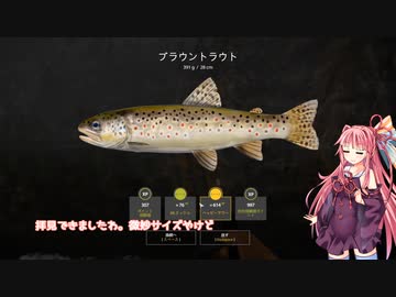 茜お姉ちゃんが川釣りのバイトをする話　2023：5月号