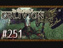 実況 ◇ The Elder Scrolls IV: オブリビオン ◇ 第251幕