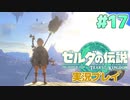 【実況】大空を翔る。ゼルダの伝説ティアーズオブザキングダム 実況プレイ！Part17【ゼルダの伝説TotK】