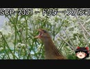 ゆっくりと一緒にSCPを紹介したい！その147【SCP】