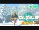 【実況】大空を翔る。ゼルダの伝説ティアーズオブザキングダム 実況プレイ！Part18【ゼルダの伝説TotK】