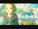 【実況】大空を翔る。ゼルダの伝説ティアーズオブザキングダム 実況プレイ！Part19【ゼルダの伝説TotK】
