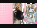ゾンビーナのハムスターの日常。89