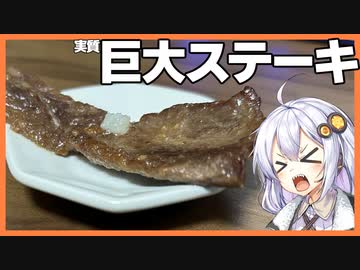 【カスキッチン#12】見た目だけ特大サイズのステーキをつくろう！【ソフトウェアトークキッチン】